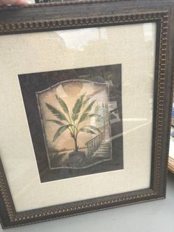 2 pictures frames. Palms