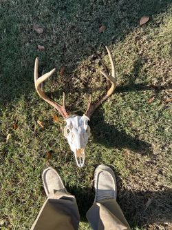 Euro mounts