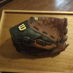 Little League Baseball Glove