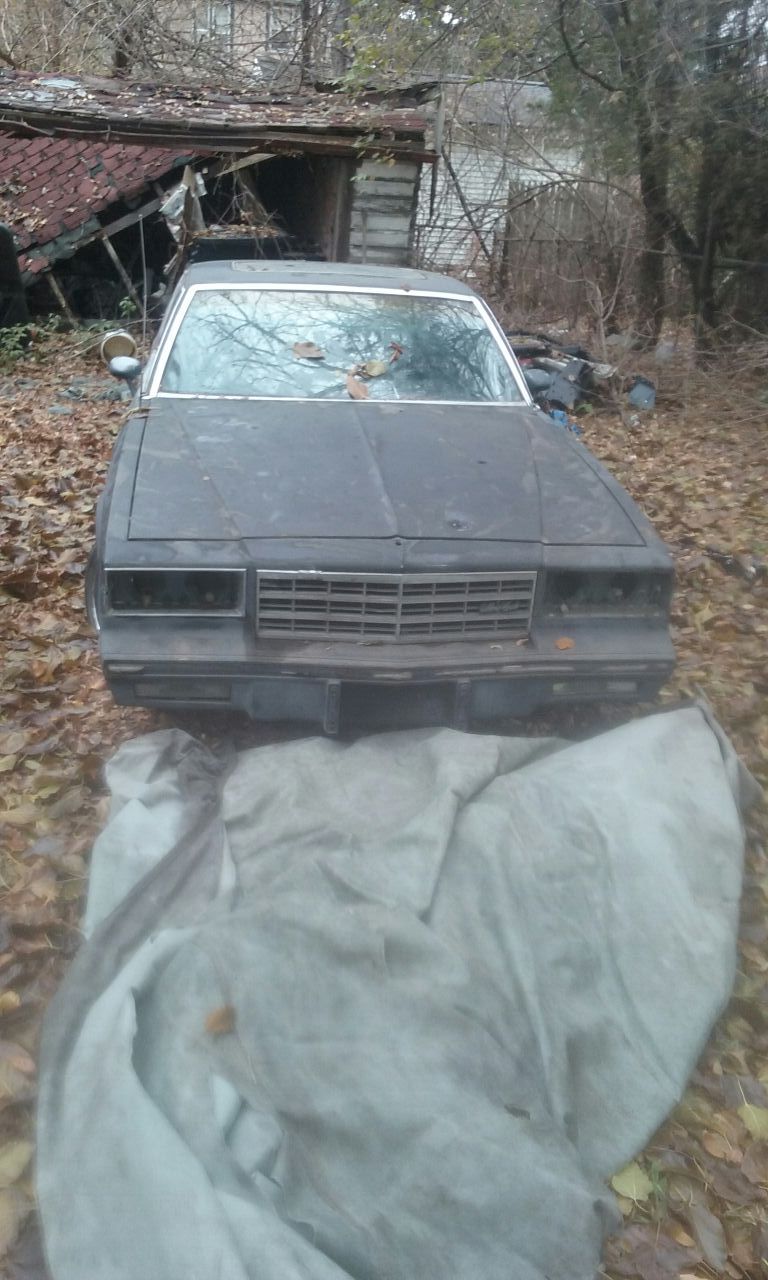 81 monte carlo lowrider project