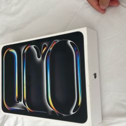 IPAD PRO M4 256 GB 