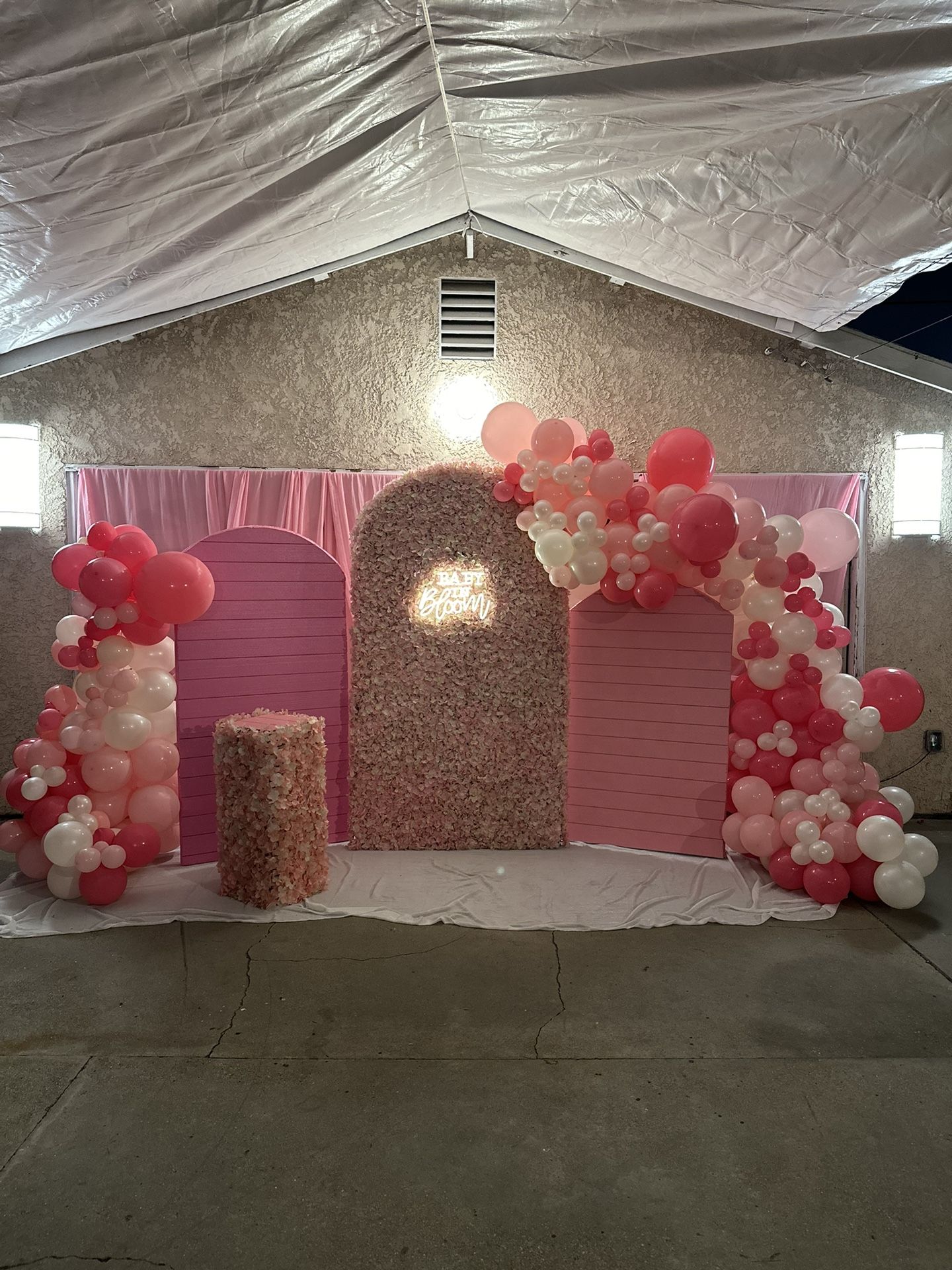 Backdrop For Sale