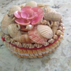 Beautiful Seashells Box + 2 FREE Gifts Deal!!