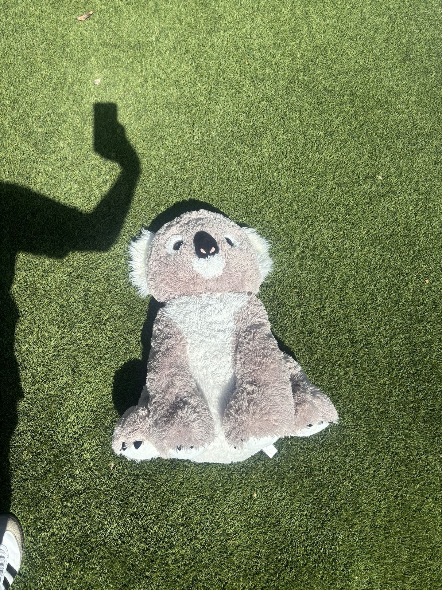 Koala Stuffed Animal