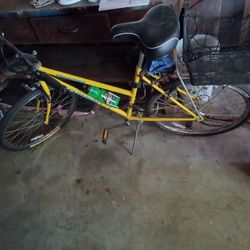 Mid Or Late '90s Schwinn Bicycle Frontier MTb