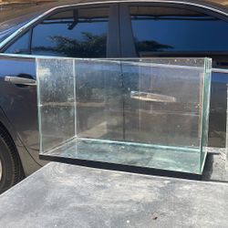 Fish Tank 