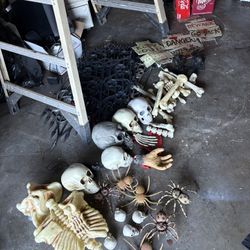 Halloween Decorations 