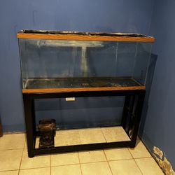 Vintage Fish tank 55 long 
