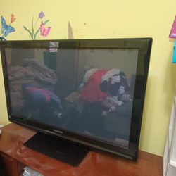 Panasonic 42" Television