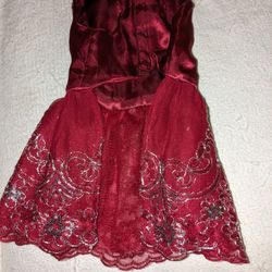 (2) Fancy Dresses For Your Pups 