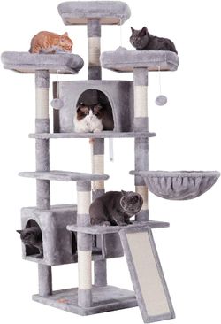 Cat Tower