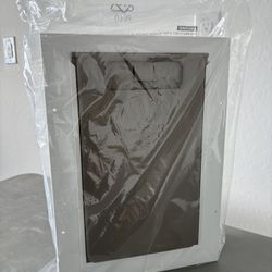 PetSafe Wall Entry Dual Flap Pet Door