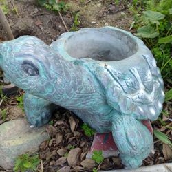 Concrete Turtles. Tortugas De Concreto 