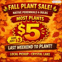 🌿PERENNIAL NATIVES AND ORNAMENTALS PLANTS FOR SALE!🌿
