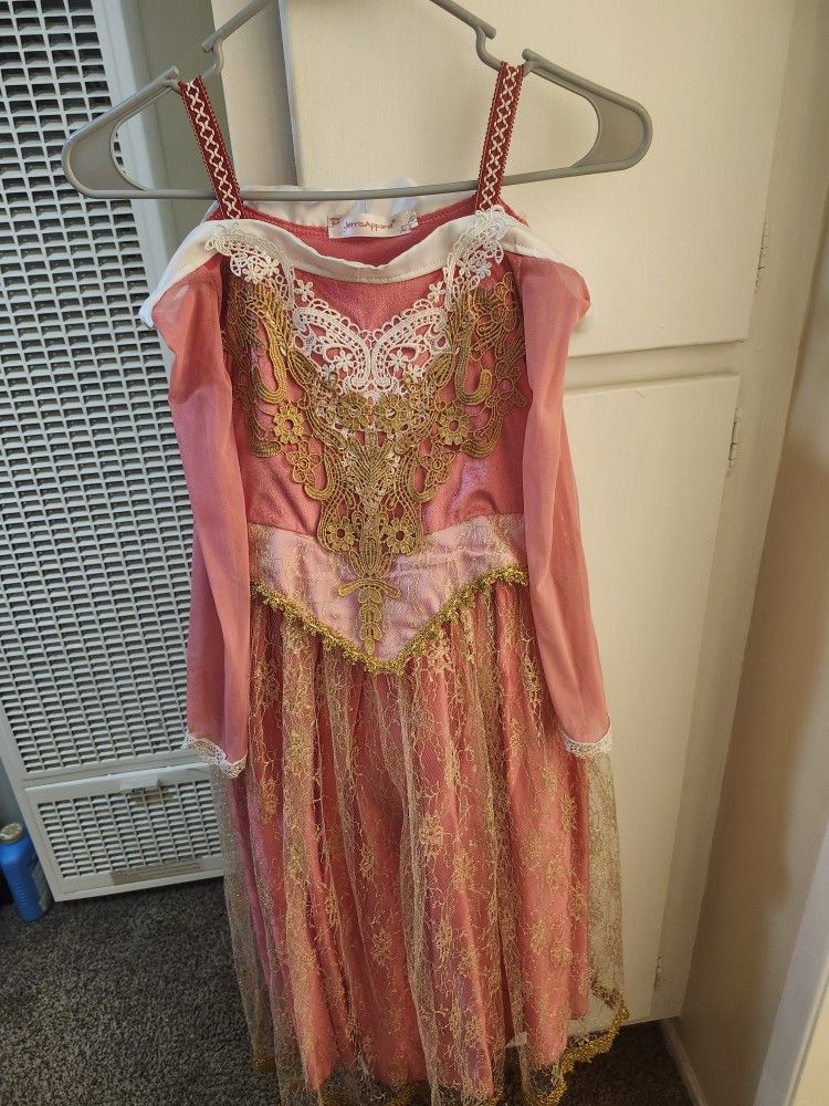 Disney Princess Aurora Costume Dress