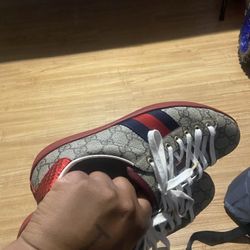 Gucci Shoes 