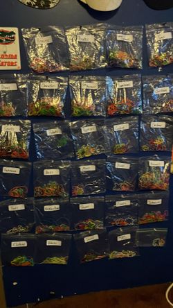 “Silly Bandz” Collection 