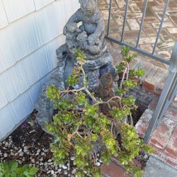 Free bear Planter