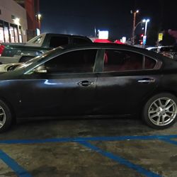 2010 Nissan Maxima