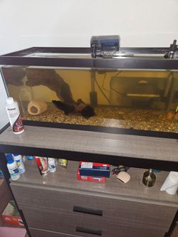 Fish tank
