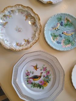 Great-Grandmother's Plate Collection