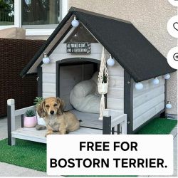Free doghouse for Boston Terrier. 