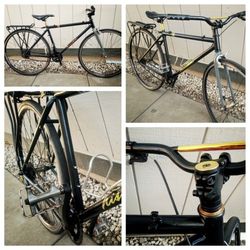 CUSTOM SINGLE SPEED 29 Inch (BMX STYLE)