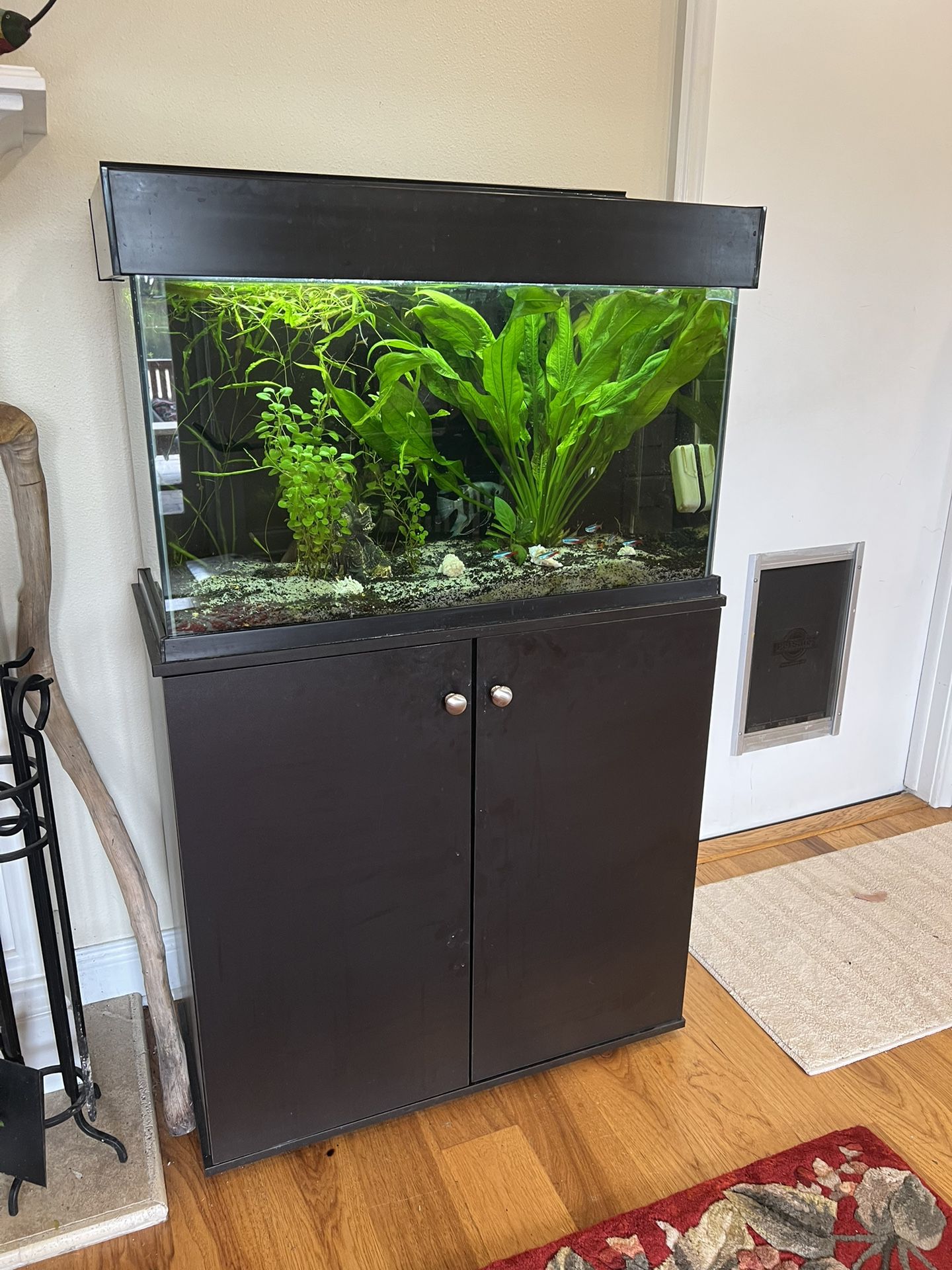 Aquarium, 20 Gallon Fish Tank, Stand, Filter and Supplies
