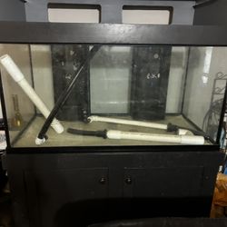 150 Gallon Aquarium 
