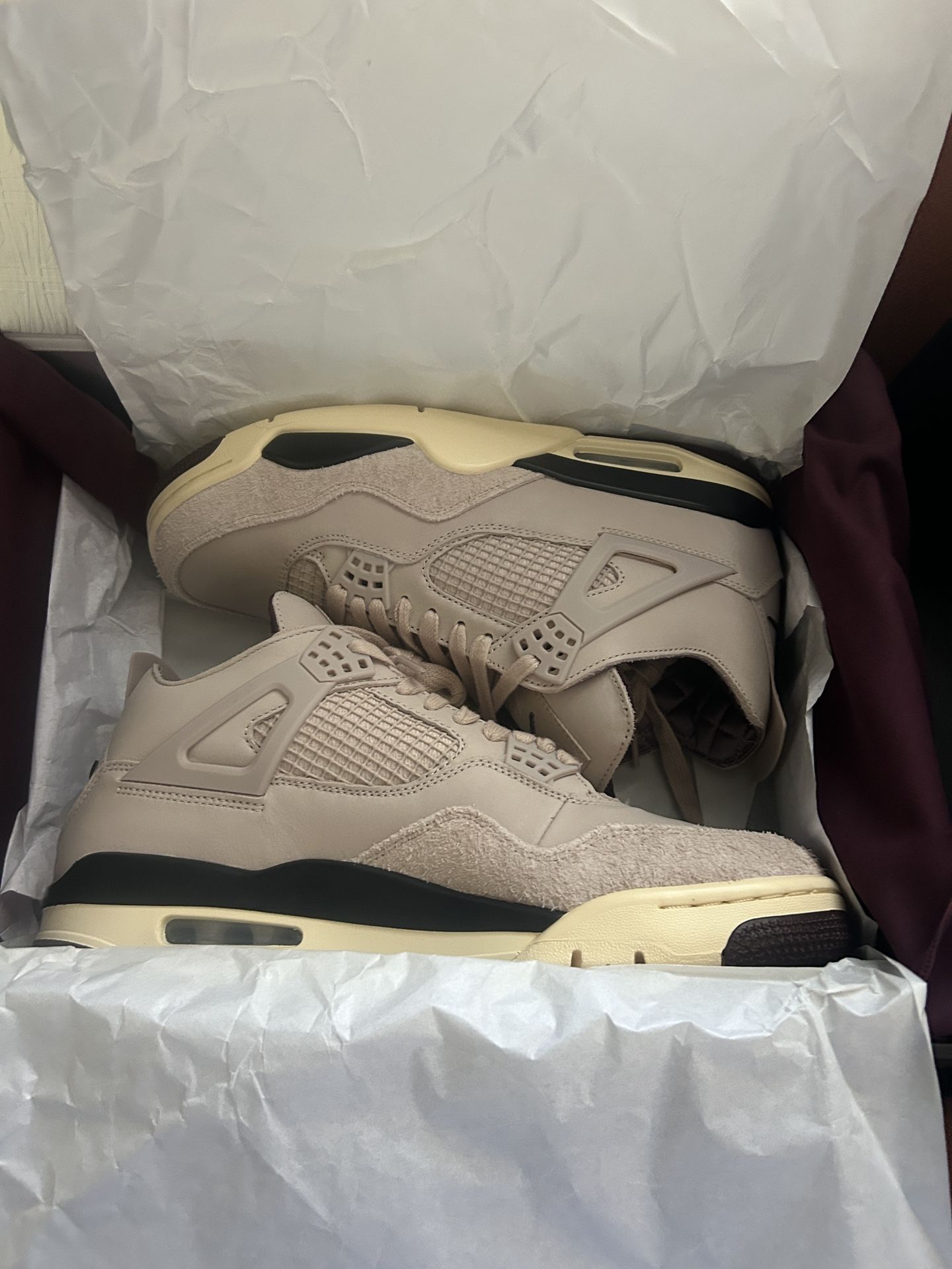 Air Jordan 4s Special Edition