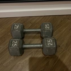 Weight Set 25 Lbs