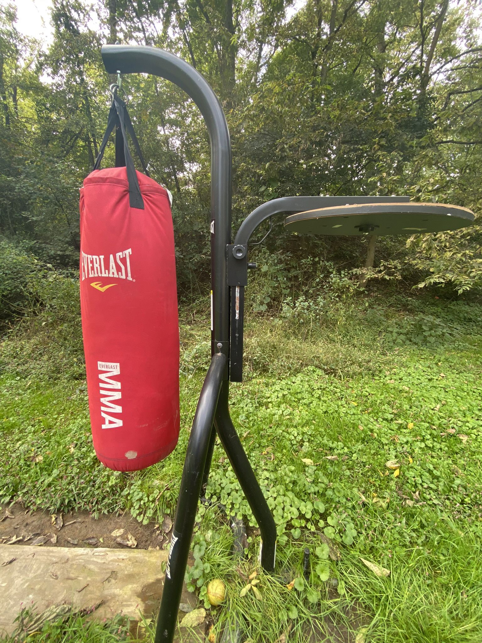 Everlast Boxing/ MMA Punching Bag