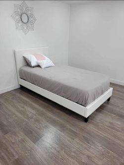 Twin Size Beds ⚜️ Camas Tamaño Twin 🚚