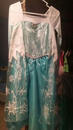 Elsa dress from Disneyland Park