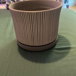 Gray Stripped Pot 