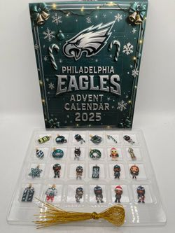 NFL Philadelphia Eagles 24 Pieces Flat Acrylic Holiday Mini Ornaments