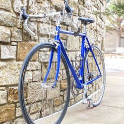 Trek 2000 14-Speed Aluminum Road Bike  (56cm)  