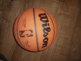 NBA Wilson basketball indoor/outdoor