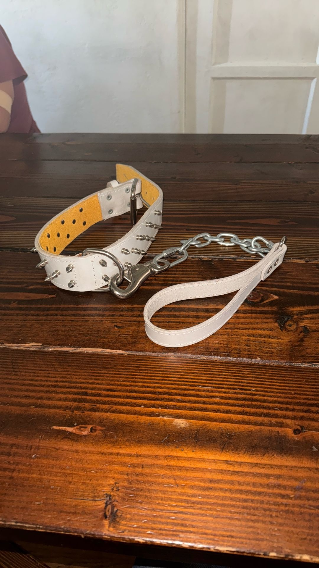 Dog Collar And Short Guide Leash.