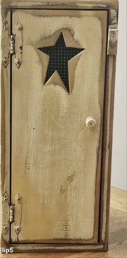 Primitive Star Door Cabinet With 2 Spacious Shelves