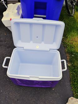 Purple Cooler
