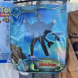 Dragon Costume
