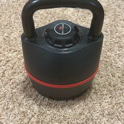 Bowflex Kettlebell 