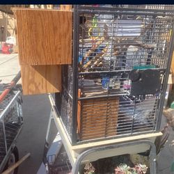 Bird Cage