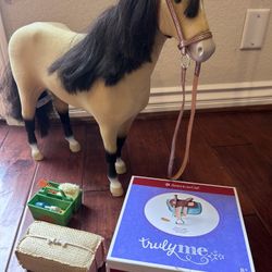 American Girl Horse and Accessories