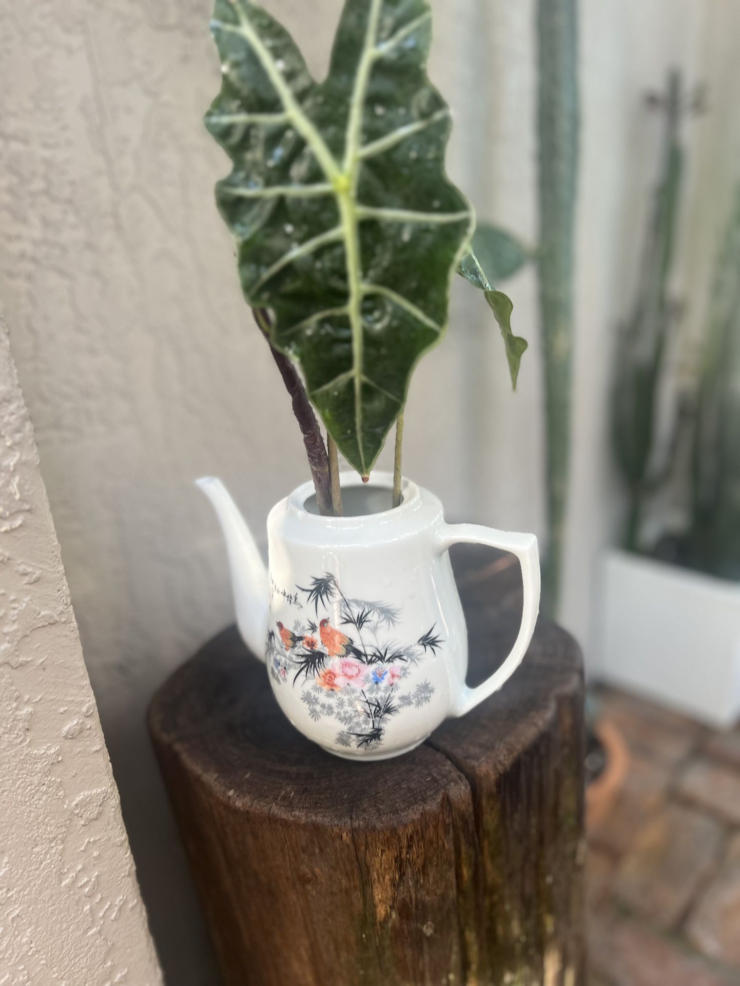 Authentic Chinese Tea Kettle Used As Planter 