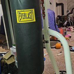 Punching Bag 