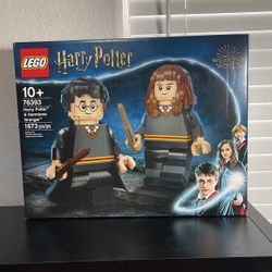 Lego 76393 Harry Potter & Hermione Granger