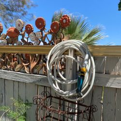 Garden Hose/ Nozzle 