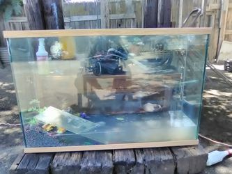Fish aquarium...100 gallon